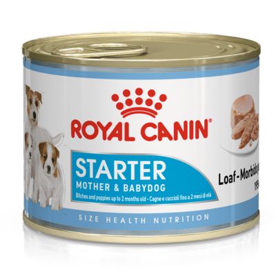 Royal Canin Starter Mousse Mother & Babydog 195g - ALTVET - Farmacie veterinara - Pet Shop - Cosmetica