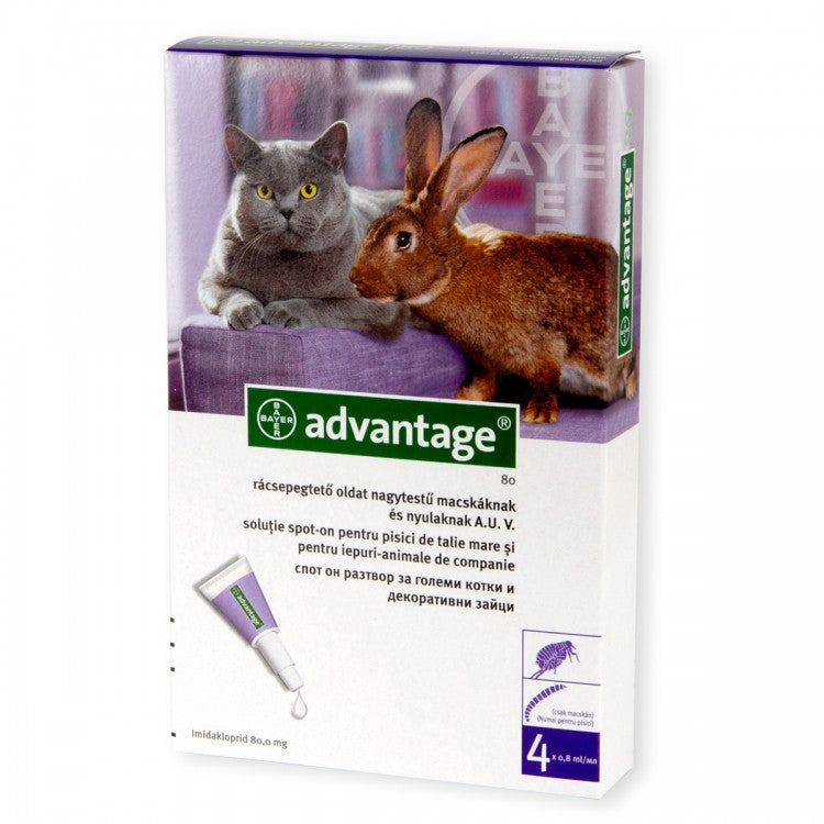Advantage 80, 4-8kg Pisica / Iepure, 1 pipeta
