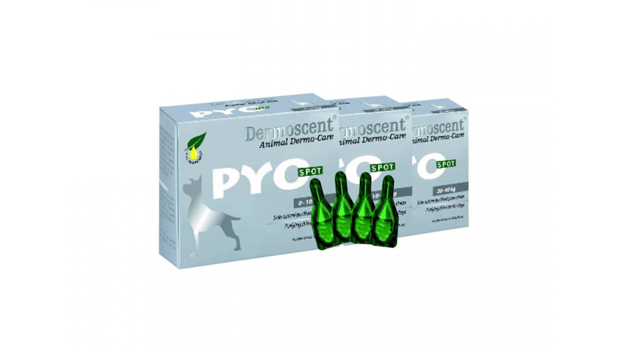 Dermoscent Pyo Spot Caine 0-10kg, 1 pipeta - ALTVET - Farmacie veterinara - Pet Shop - Cosmetica