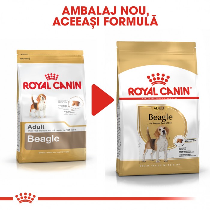 Royal Canin Beagle 3 kg - ALTVET - Farmacie veterinara - Pet Shop - Cosmetica