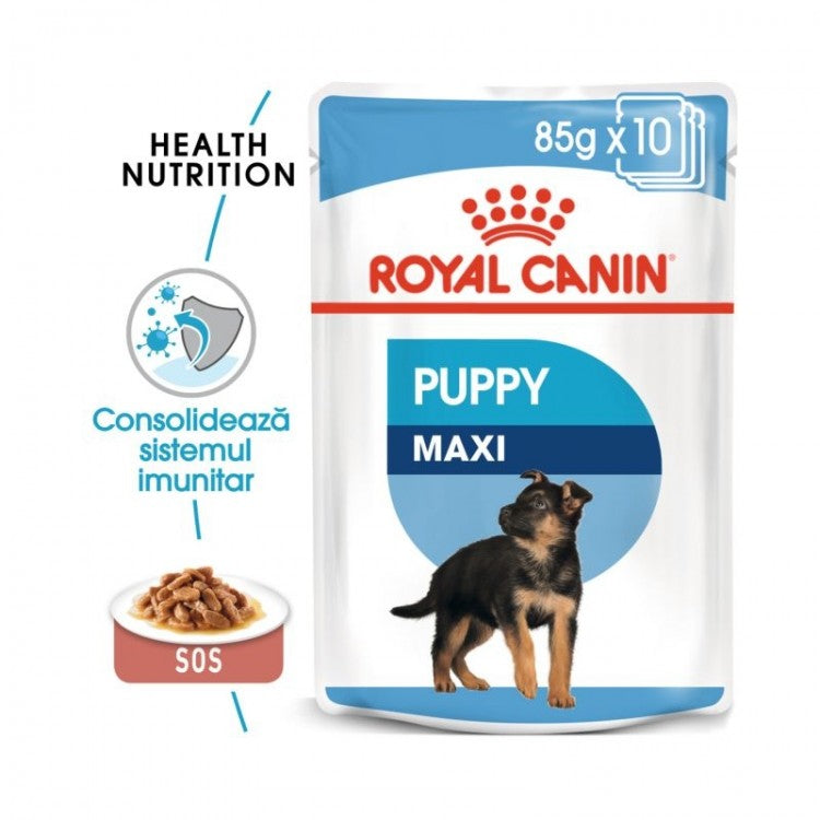 Royal Canin Maxi Puppy 140 g - ALTVET - Farmacie veterinara - Pet Shop - Cosmetica