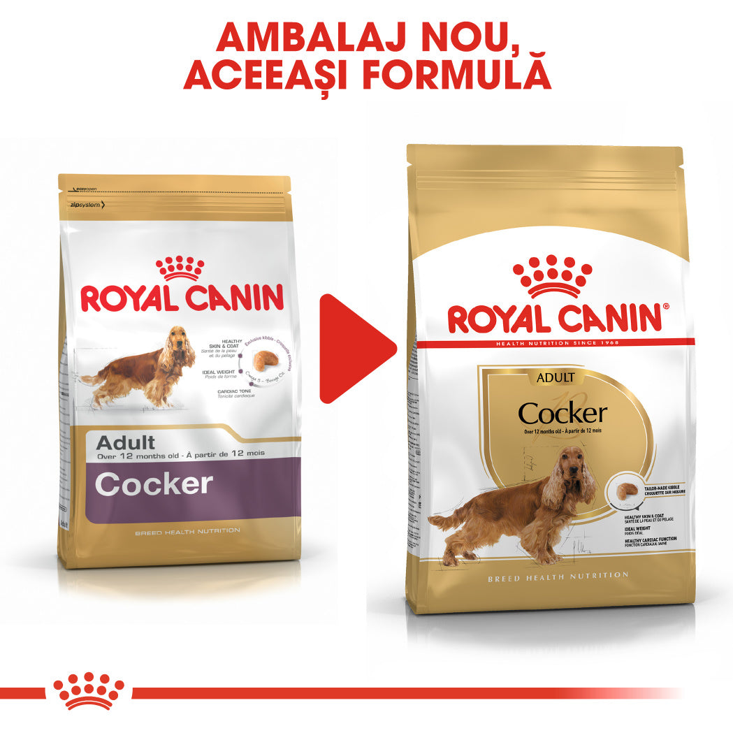 Royal Canin Cocker Adult 3 kg - ALTVET - Farmacie veterinara - Pet Shop - Cosmetica